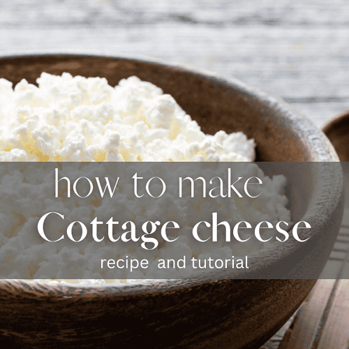 How to make cottage cheese