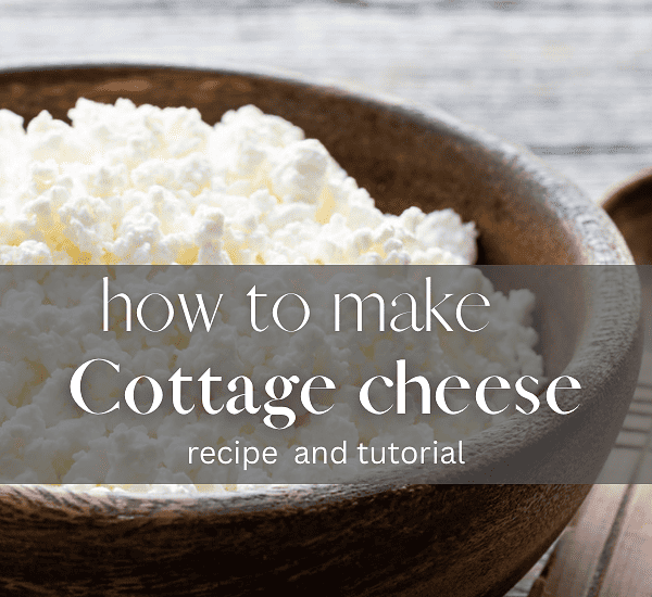 How to make cottage cheese