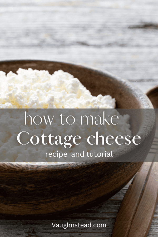 How to make cottage cheese