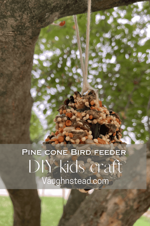 pinecone bird feeder kids craft 